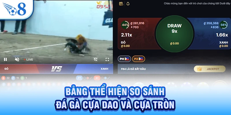 Bảng thể hiện so sánh đá gà cựa dao và cựa tròn